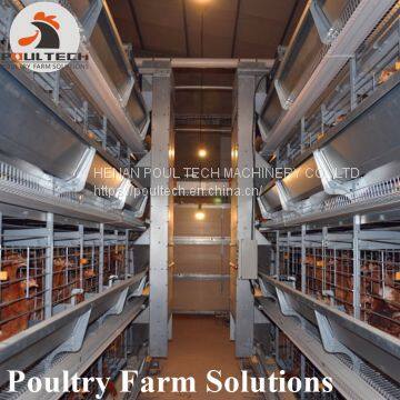 H Type Layer Chicken Chicken Cage With Full Automatic Equipment for 100000 Birds photo-4