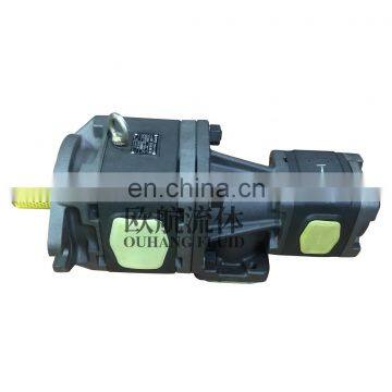 SUNNY Internal Gear Pump Double Gear Pump HG21-125-63-01R-VPC photo-4