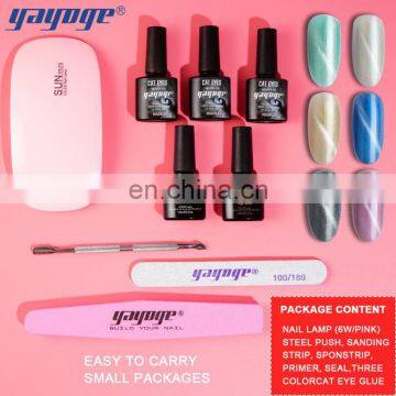 2020 Newest Trend Design Kit Cat Eye Gel Set Gel Polish With Base and Top Coat With OEM ODM photo-3