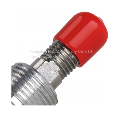 Customized Plastic Vinyl PVC Pipe End Cap With Hole and Print photo-4