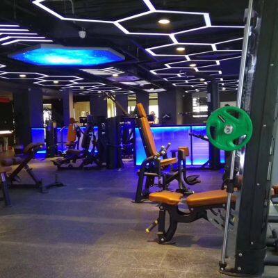 China Wholesale Commercial Gym Equipment ABS AND Back Extension Machine photo-3