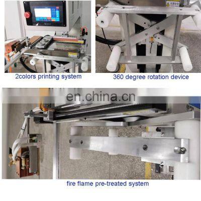 Servo Electric Pad Printing Machinepad Printing Machine 2 Color Crate Boxes photo-4