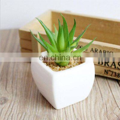 Home Decor Artificial Suculentas Natural Faux Plants Supplier Ornamental Handmade Ceramic Pots With Plastic Succulent Plants