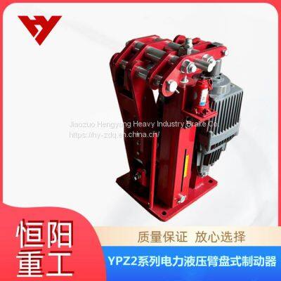 Hengyang Heavy Industry Electric Hydraulic Arm Disk Brake YPZ2 | -500/201 is Easy to Replace photo-3