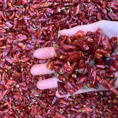 Wholesale Bulk Items Dry Red Chilli Sichuan Pepper Whole or Cut Offr or Chili Powder photo-4