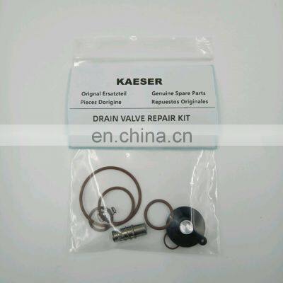 Kaeser 8.2520.0 EWD kit air compressor spare parts high quality 8.2520.0