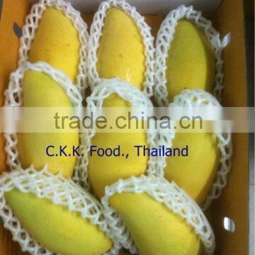 Thai Yellow Mango (Nam Dok Mai)