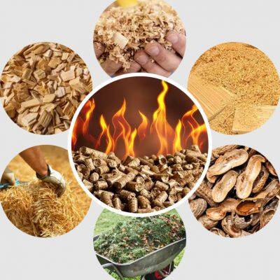 Choosing the Right Raw Materials for Biomass Pellet Production