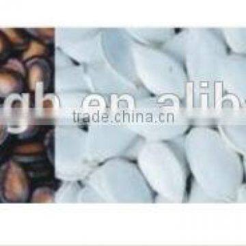 Vertical Pillow Bag Packing Machine for Cookies photo-4