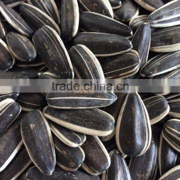 Good quality sunflower seeds for human consumption