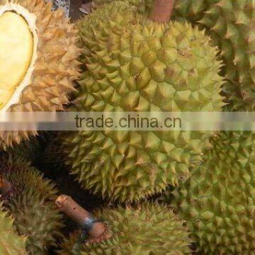 FRESH / FROZEN DURIAN IN VIETNAM photo-2