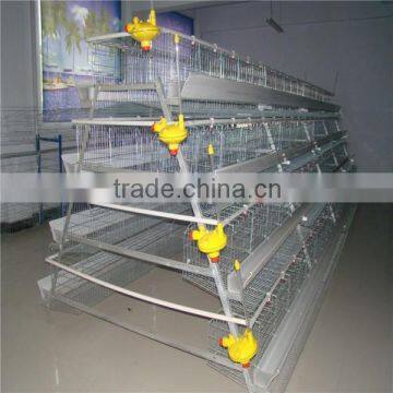 Best selling low price chicken house with optional auomatic system