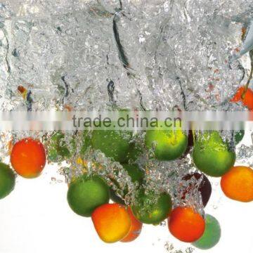 Fruit & Vegetable Processing Machines Industrial Fruit Brush Roller For Potato Washing Machine photo-5