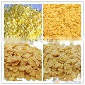 New Type Automatic Corn Flakes Production Line photo-4