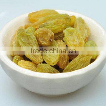 2015 New Crop Best Quality Fruit Products Dried Golden Sweet Raisin photo-6