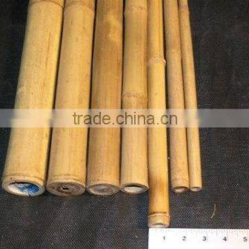 Vietnam bamboo pole very straight and cheap price