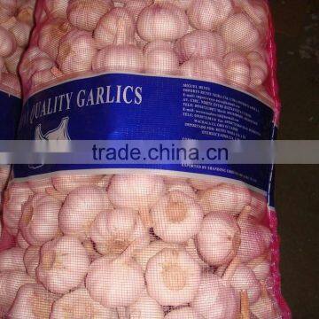 Fresh White Garlic 55-60cm Oganic Fresh Garlic photo-2