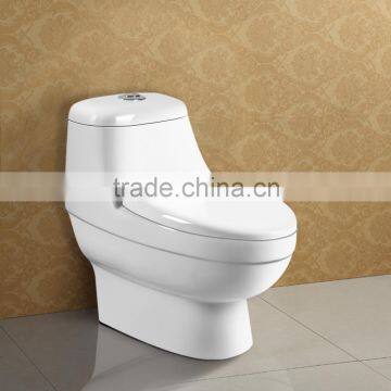 Floor Standing Dual Siphonic Soft Closing Seat Cover Toilet