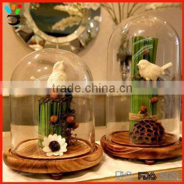Made in China Wholesale Price Protect Item Decoration Glass Dome with Wood base
