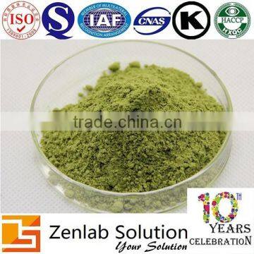 Moringa Oleifera Leaf Extract Powder photo-4