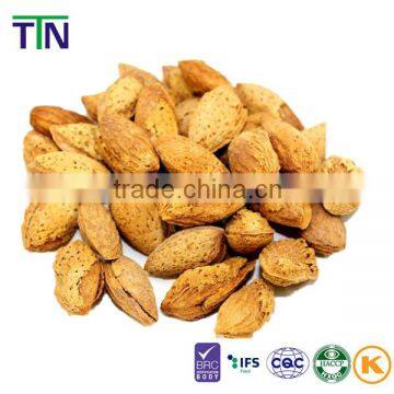 TTN Wholesale Almond with Shell Xinjiang Chinese Wholesale Almond