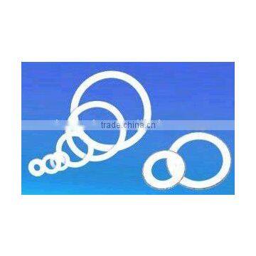 PTFE gasket