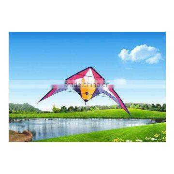 Dual Line Delta Stunt Kites - Curved Edge Kites