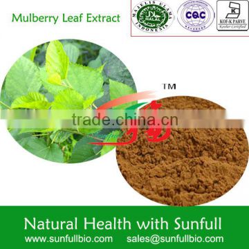 Best quality Mulberry Leaf Extract 1%-20% DNJ /1-Deoxynojirimycin