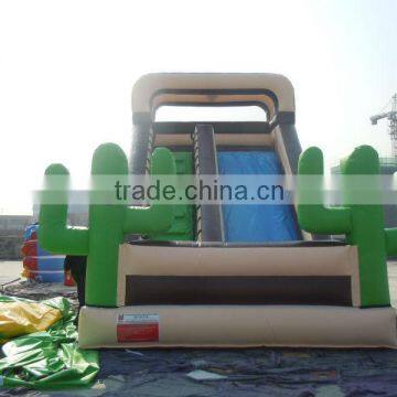 Cheap cactus inflatable slide for sale