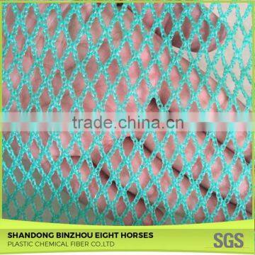 Chinese Credible Supplier Net Anti Bird Netting photo-2