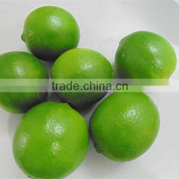 VIET NAM FRESH LIME / SKYPE:gimex.vietnam1