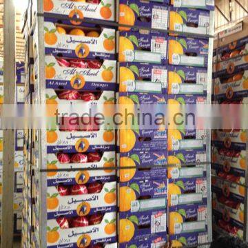 WINTER NAVEL ORANGE