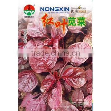 Chinese High Quality Red Leaf Amaranth Seed For Growing