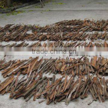 Cassia split Vietnam origin