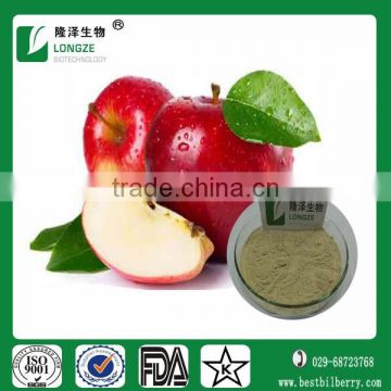 100% Natural Fruit Powder Spray-Dried Apple Fruit Extract Powder with Polyphenols 20%-50%