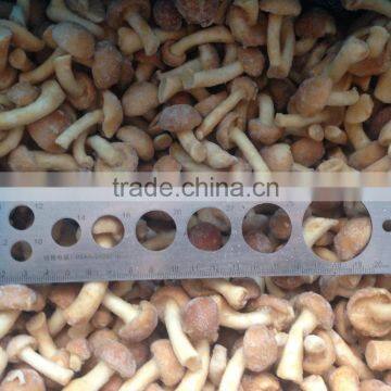 Frozen Nameko photo-4