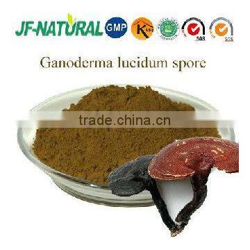 pure natural ganoderma lucidum sporeis