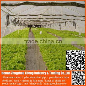 Chinese manufacture 20/30/40/50 mesh hdpe plastic agriculture greenhouse vegetable and fruit anti-insect net , nylon insect net