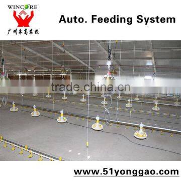 Sout Africa New Project Poultry Farming Equipment Automatic Feeding System for Chicken