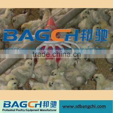 Complete Controlled Automatic Chicken-raising Feed Line