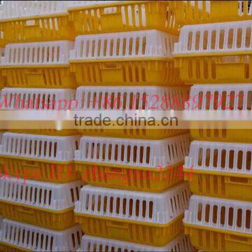 factory price plastic chicken/poultry transport cage