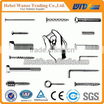 China hot sale iron wire nails / polished common nails / concrete nail for factory