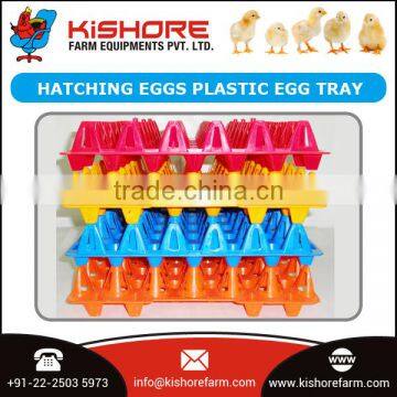 Bulk Purchase Plastic Egg Tray for Transporting Whole Eggs at a Fair Price