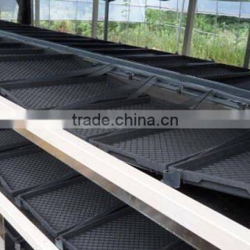 BK Conveyor Culture photo-6