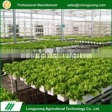 Multifunctional customizable easy installation pvc pipe hydroponic system