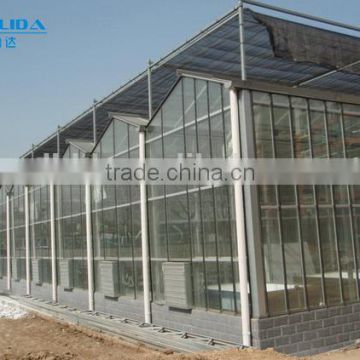 Galvanized steel structure glass covering greenhouse