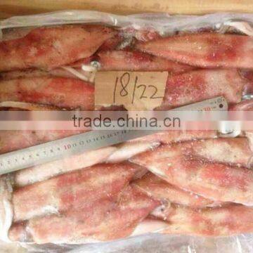 Frozen Whole Round Red Squid photo-2