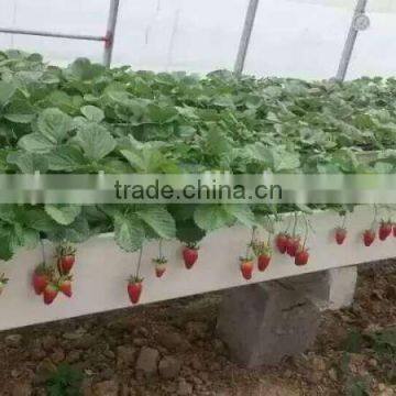 Agricultural Hydroponics U type trough growing system