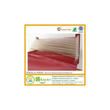 Expanding File Pocket With Elastic String Closure photo-3