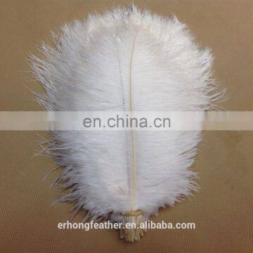 Wedding decorations Wholesale 18 to 20 inch white Ostrich Feather natural feather for sale